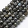 Natural Labradorite Beads Strands G-P322-31-10mm-1