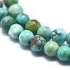 Natural Turquoise Beads Strands G-K305-01-A-3