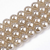 Natural Dyed Agate Beads Strands G-N326-12C-01-1