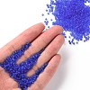 (Repacking Service Available) Glass Seed Beads SEED-C017-2mm-M6-4