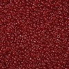 MIYUKI Round Rocailles Beads SEED-X0054-RR0141-3