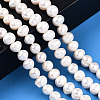 Natural Cultured Freshwater Pearl Beads Strands PEAR-N013-06K-2