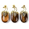 Natural Tiger Eye Pendants G-L524-17G-08-1
