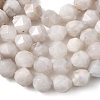 Natural Crazy Agate Beads Strands G-Z119-A12-01-6