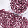 Plated Glass Seed Beads X-MRMJ-S034-04C-1