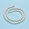 Natural Cultured Freshwater Pearl Beads Strands PEAR-J006-17B-01-3