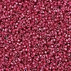 MIYUKI Delica Beads X-SEED-J020-DB1841-3