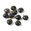 Natural Kambaba Jasper Pendants G-I311-A28-G-3