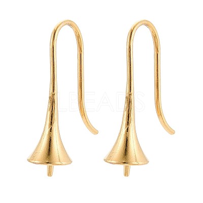 Ion Plating(IP) 304 Stainless Steel Earring Hooks X-STAS-N108-30G-1
