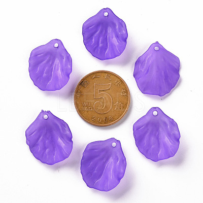 Transparent Frosted Acrylic Pendants MACR-S371-01A-747-1