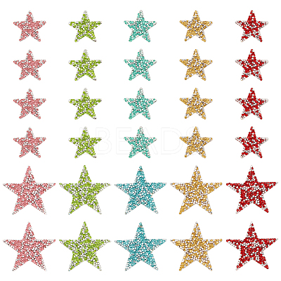 30Pcs 10 Styles Star Hotfix Rhinestone DIY-WR0004-13-1