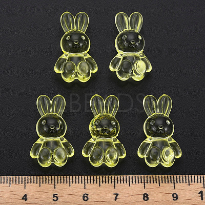 Transparent Acrylic Beads MACR-S373-81-B06-1