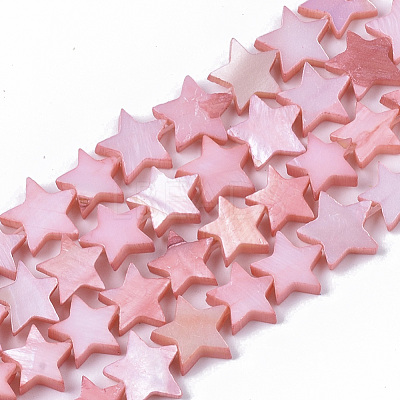 Freshwater Shell Beads Strands X-SHEL-T014-009F-1
