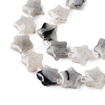 Natural Grey Labradorite Beads Strands G-T138-184-1