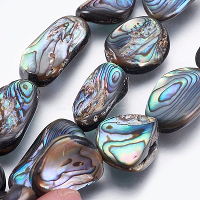 Natural Abalone Shell/Paua Shell Beads Strands SSHEL-P014-02-1