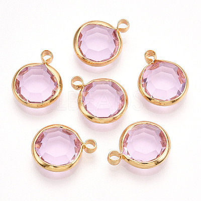 K9 Glass Charms X1-GLAA-T023-37A-03-1