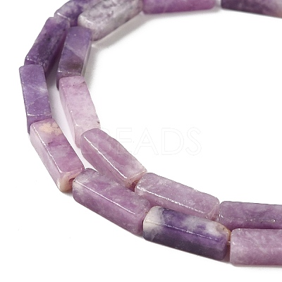 Natural Lepidolite/Purple Mica Stone Beads Strands G-E612-C05-B-1