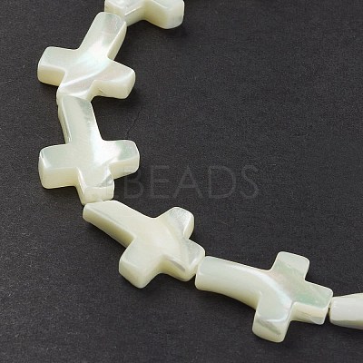 Natural Trochid Shell/Trochus Shell Beads Strands SSHEL-K027-05-1