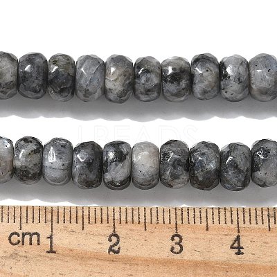 Faceted Natural Labradorite Rondelle Beads Strands X-G-K090-02-1