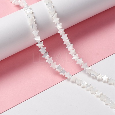 Natural Trochid Shell/Trochus Shell Beads SSHEL-O001-25A-01-1