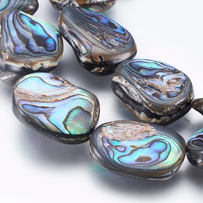 Natural Abalone Shell/Paua Shell Beads Strands SSHEL-P014-04-1