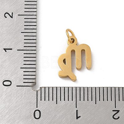 304 Stainless Steel Charms LS-STAS-R001-04G-06-1