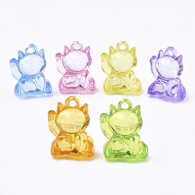 Transparent Acrylic Pendants X-TACR-S149-10-1