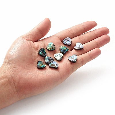 Abalone Shell/Paua Shell Beads SHEL-T005-01-1