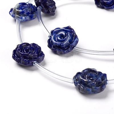 Natural Lapis Lazuli Beads Strands G-I194-35B-1