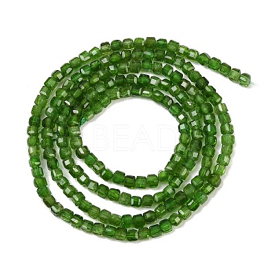 Natural Green Diopside Beads Strands G-B175-C01-2x2mm-1