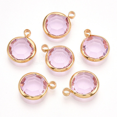 K9 Glass Charms X1-GLAA-T023-37A-03-1