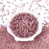 FGB Frosted Transparent Glass Seed Beads SEED-N013-05A-06-2