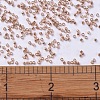MIYUKI Delica Beads SEED-MY11-DB0434-4