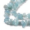Natural Aquamarine Chips Beads Strands G-D0002-A02-5