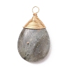 Natural Labradorite Pendants PALLOY-JF05086-02-3