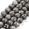 Natural Map Stone/Picasso Stone/Picasso Jasper Strands G-G099-10mm-27-1