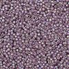 TOHO Round Seed Beads SEED-JPTR11-0166F-2