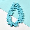 Synthetic Turquoise Beads Strands G-B064-B48-2