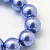 Baking Painted Glass Pearl Round Bead Strands HY-Q003-10mm-09-3