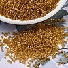 MIYUKI Delica Beads X-SEED-J020-DB0272-1