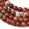 Natural Red Jasper Bead Strands G-R193-11-8mm-5