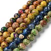Natural Imperial Jasper Beads Strands G-I122-8mm-M-01-1
