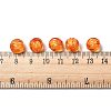 Autumn Theme Transparent Acrylic Beads TACR-S089-10mm-11-3