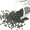 11/0 FGB Grade A Baking Paint Glass Seed Beads X-SEED-N001-A-1040-1