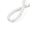 Natural Trochid Shell/Trochus Shell Beads Strands SSHEL-N034-121-B01-4