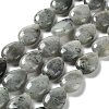 Natural Labradorite Beads Strands G-L242-35-1