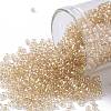 TOHO Round Seed Beads SEED-JPTR11-0629-1