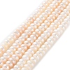 Natural Cultured Freshwater Pearl Beads Strands PEAR-I007-02E-02B-2