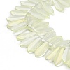 Electroplate Glass Beads Strands X-EGLA-C005-01A-FR02-3