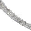 Natural Labradorite Beads Strands LS-G-RM2025-A30-2mm-4